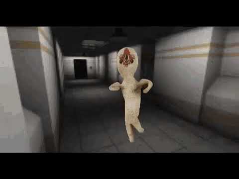 CHI CONOSCE SCP 173 ALLA FORTNITE