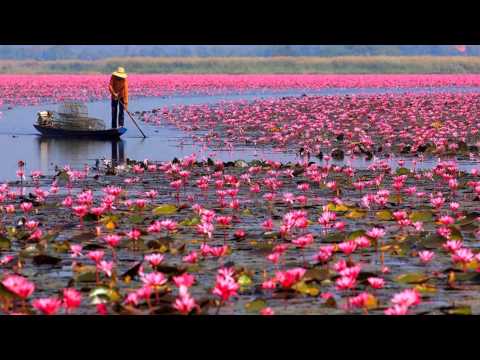 Snatam Kaur - Jap Man Sat Nam - Lotus Lake