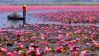 Snatam Kaur - Jap Man Sat Nam - Lotus Lake