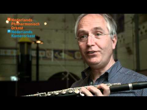 Fluit - Leon Berendse