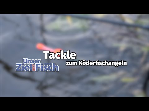 Tackle for fishing with baitfish - Our goal is fish