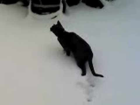 Zdenka playing in the snow