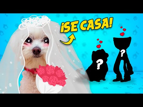 MY DOG'S WEDDING BUT WITH SOMEONE MYSTERIOUS!! WITH WHOM?