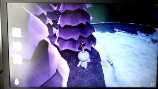 Pocket Plants Помогаем миру стать лучше