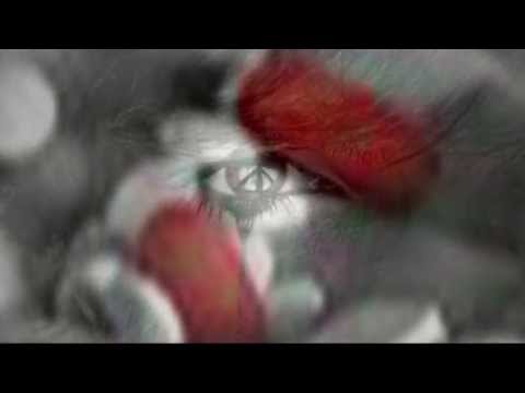 The Silence - The Silence - CURE