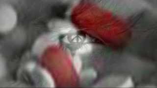 The Silence - CURE