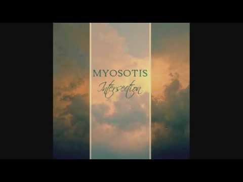 Myosotis - Intersection