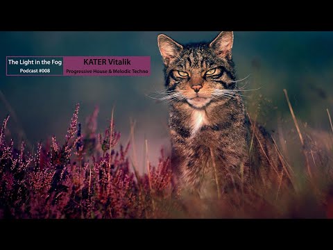 KATER Vitalik - The Light in the Fog (Progressive House & Melodic Techno Mix) - Podcast #008