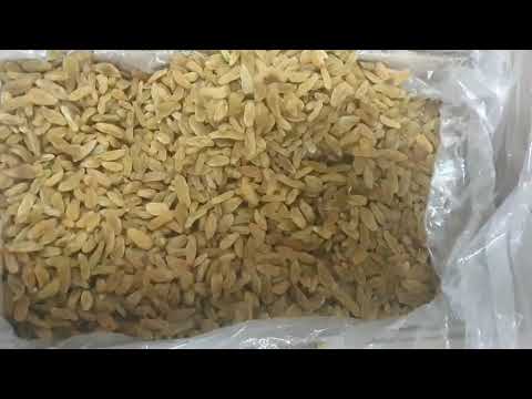 Indian Raisin Kishmish - Premium (Long) New Crop