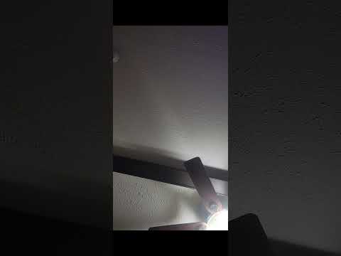 everybody will be happy over there