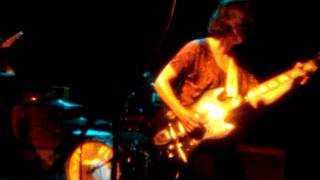 Wild Flag   Racehorse