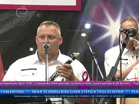 Ansambl Zagorje - Šurici šuraju