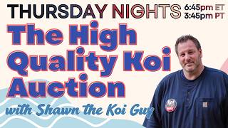 The High Quality Koi Auction Is Tonight! - https://tinyurl.com/43nftv6