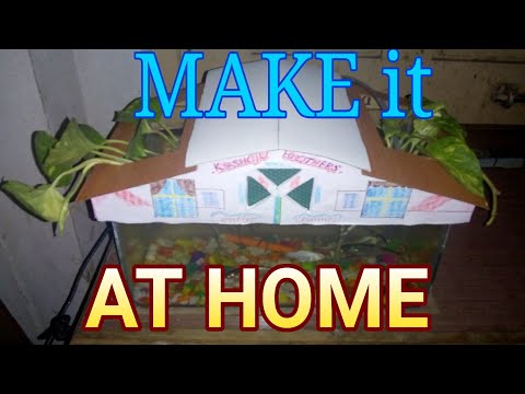 How to make a aquarium top covered at home| home made aquarium top cover| how to make a aquarium cap Video