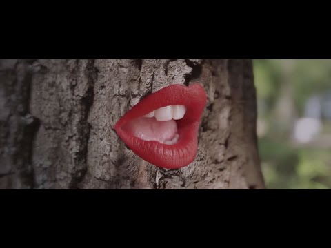 GOLDEN BUG feat. Julienne Dessagne • Accroché à Moi (Official Video)