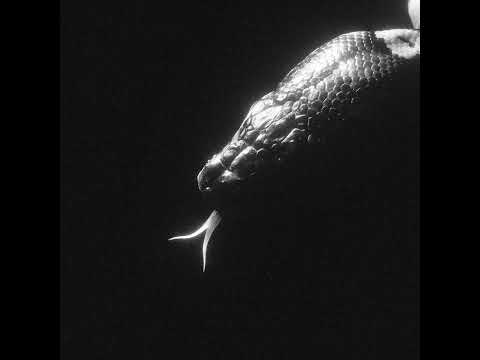 AveSpirit - Мало