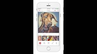 Pixify - Picture Style Mixer