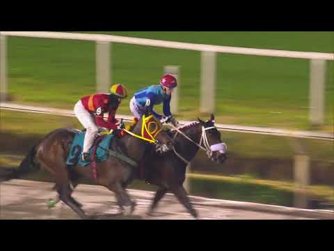 230903 c09 BRITISH BY