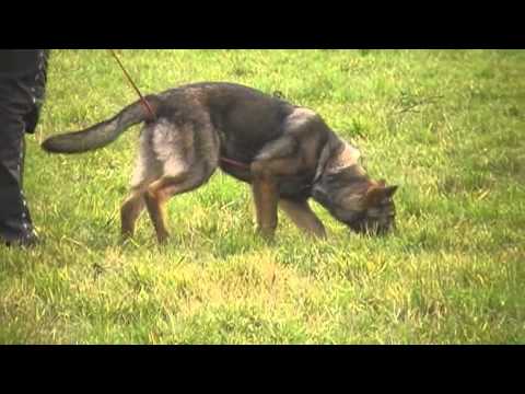 FINNY Aykmar - tracking - 4 months, www.aykmar.cz