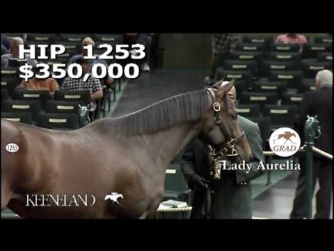 LADY AURELIA as a Keeneland September Yearling