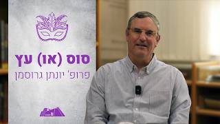סוס (או) עץ | פרופ' יונתן גרוסמן | מגילת אסתר | פורים תשפ"ו (ישיבת הר עציון) - התמונה מוצגת ישירות מתוך אתר האינטרנט יוטיוב. זכויות היוצרים בתמונה שייכות ליוצרה. קישור קרדיט למקור התוכן נמצא בתוך דף הסרטון