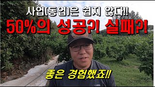 농업법인회사 운영 : 좋은 경험했습니다 : 50%의 성공? 실패?!