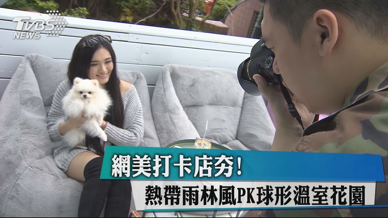 網美打卡店夯! 熱帶雨林風PK球形溫室花園