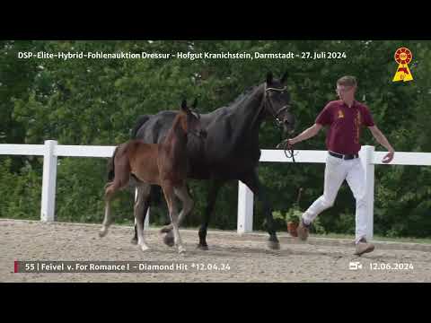 Lot 55 v. For Romance / Diamond Hit