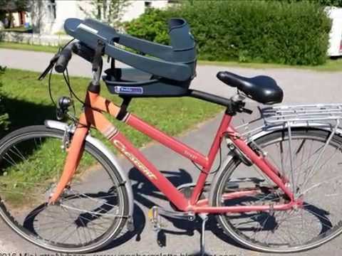 Buddyrider with BGB snap hooks and handmade dog harness with D-rings