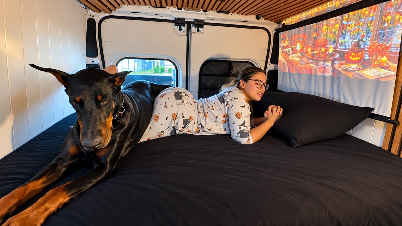 Yoga in Bed With A Big Dog
