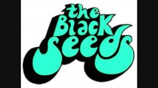 "So True" by tHe Black sEEds