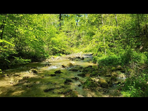 madih / Sudanese Chanting Band 2022