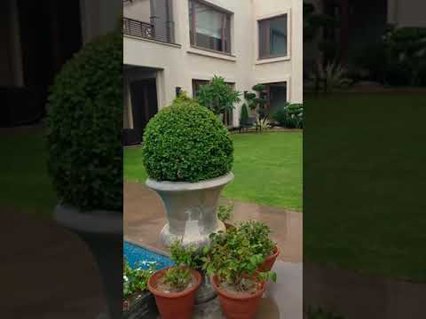 4 kanal house inside Creative and Unique landscaping Services my work in Nazima Abad Karachi