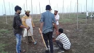 preview picture of video 'Aalami Ijtema Kurnool 2018, Pindaal Work'