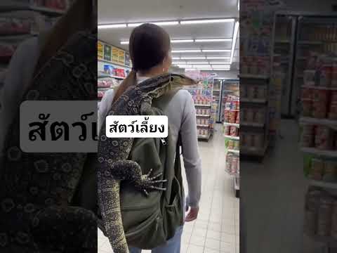 สัตว์เลี้ยงน่ารัก