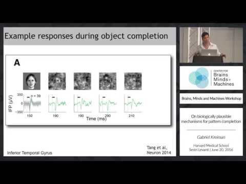 On Biologically Plausible Mechanisms for Pattern Completion