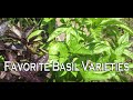 Favorite Basil Varieties to Try