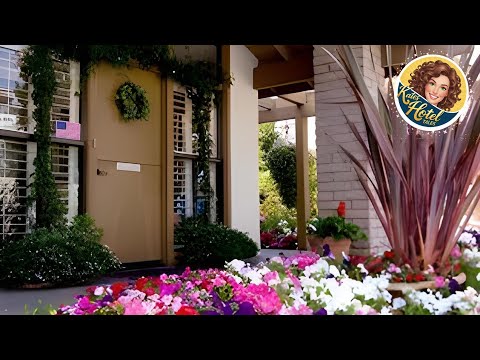 Adobe Inn | Monterey (CA), United States | Hotel Review 🌟