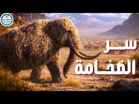 كيف صنعت المراعي عمالقة العصر الجليدي؟