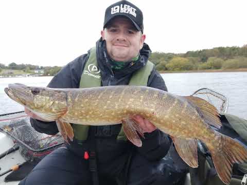 Catching Pike with Large Soft Plastics.  (HOSTAGEVALLEY SHADS)