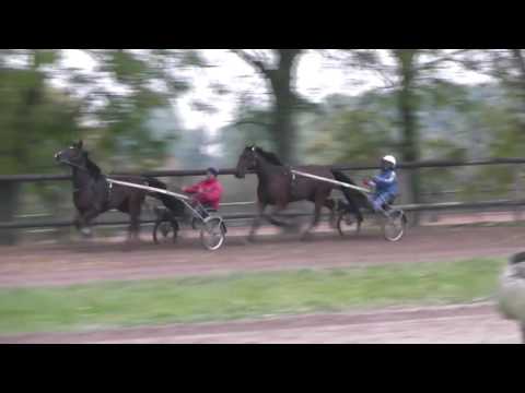 Drive Fast et Elicatte de Viette