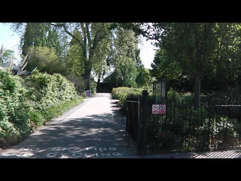 regents park - London Zoo - regent canal