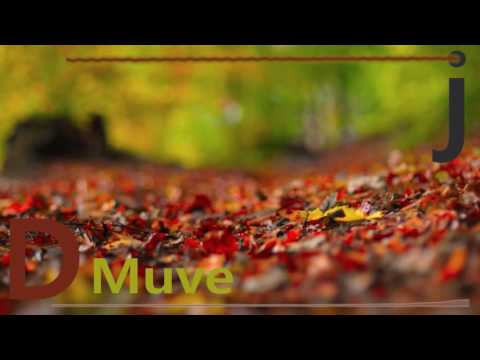 Plane Jaymes Ft Blac Youngsta - Time Flies by DMuvej