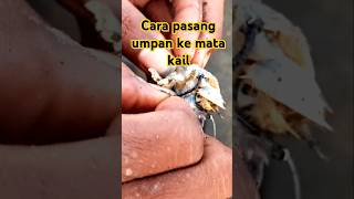 Download lagu Cara pasang umpan undur undur laut ke mata kail #mancingmaniamantap mp3