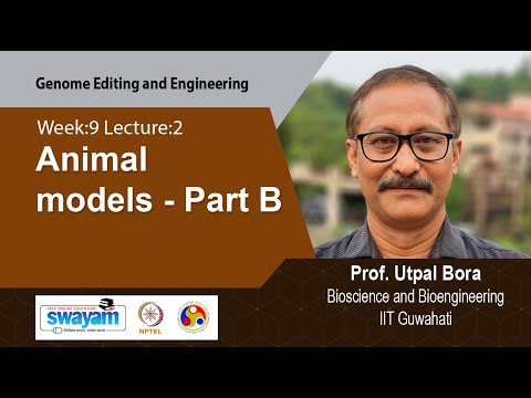 Genome Editing and Engineering Intro Video