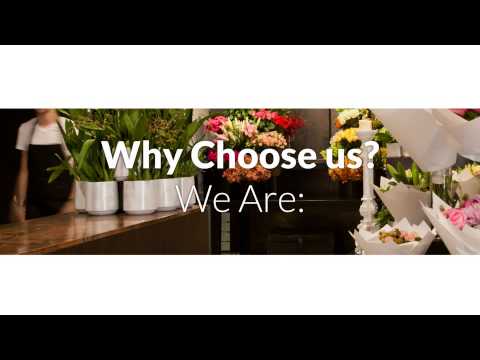 French Flowers - Brisbane's Most Stylish & Colorful Flowers