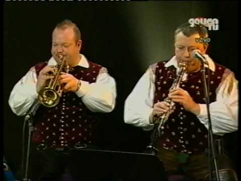Slovenski muzikantje - Moj fajnt je veseljak (LIVE)