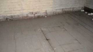 Trapdoor By Ozzy Osbourne