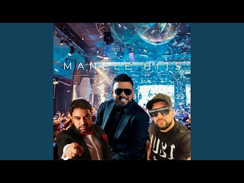 Nici Romanii, Nici Tiganii