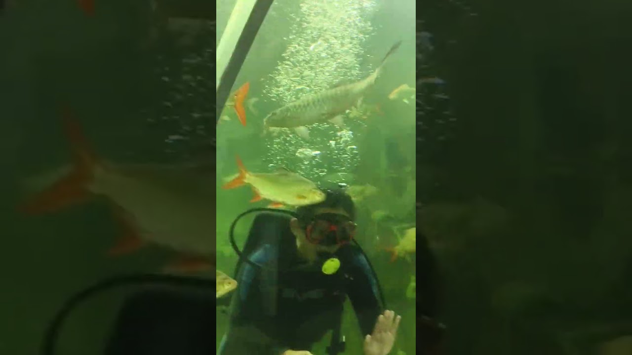 YouTube Short thumbnail